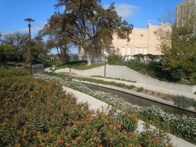 The Museum Reach Milkweed Patch on the San Antonio Riverwalk